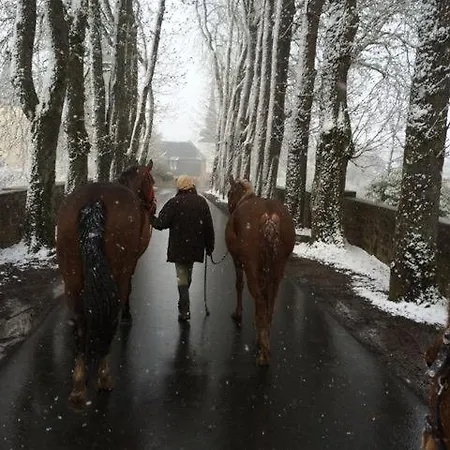 La Maison Im Park Von Schloss Schmidtheim