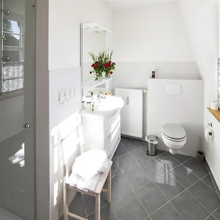 La Maison Im Park Von Schloss Nyaraló