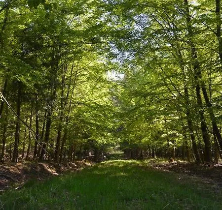 La Maison Im Park Von Schloss Schmidtheim