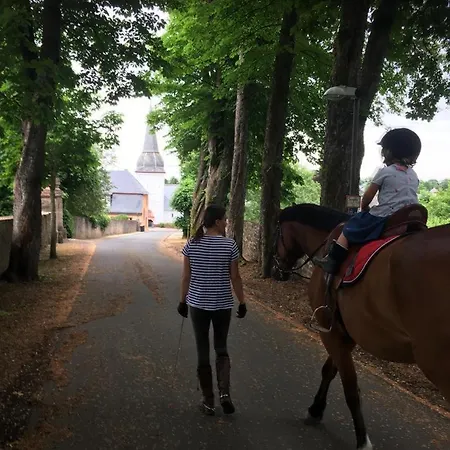 La Maison Im Park Von Schloss Holiday home Schmidtheim