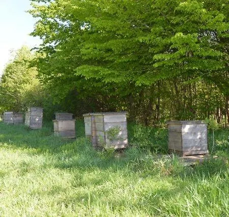 La Maison Im Park Von Schloss