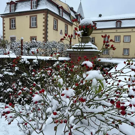 La Maison Im Park Von Schloss * Schmidtheim