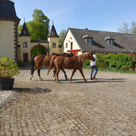 Nyaraló La Maison Im Park Von Schloss Schmidtheim
