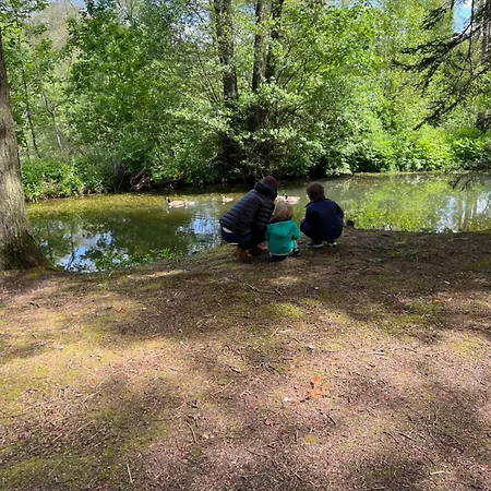 La Maison Im Park Von Schloss Nyaraló