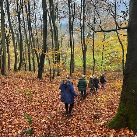 La Maison Im Park Von Schloss *