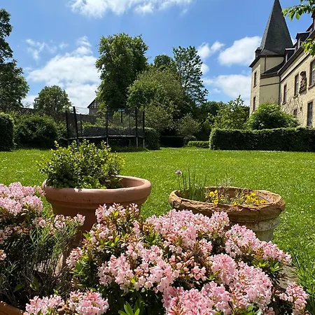 La Maison Im Park Von Schloss Nyaraló