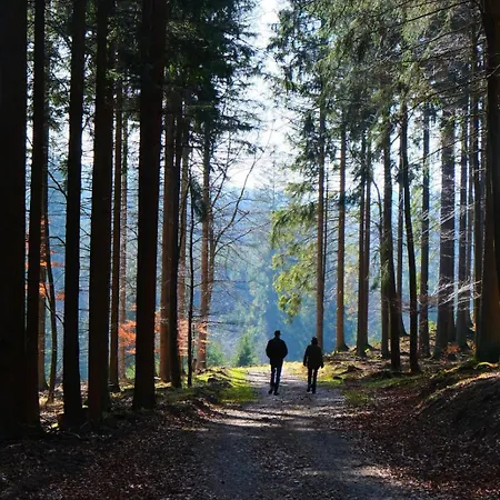La Maison Im Park Von Schloss Schmidtheim