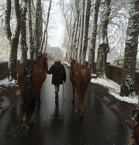La Maison Im Park Von Schloss Schmidtheim