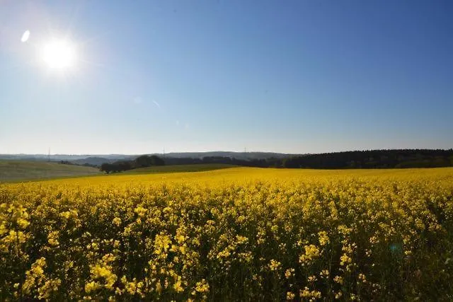 La Maison Im Park Von Schloss
