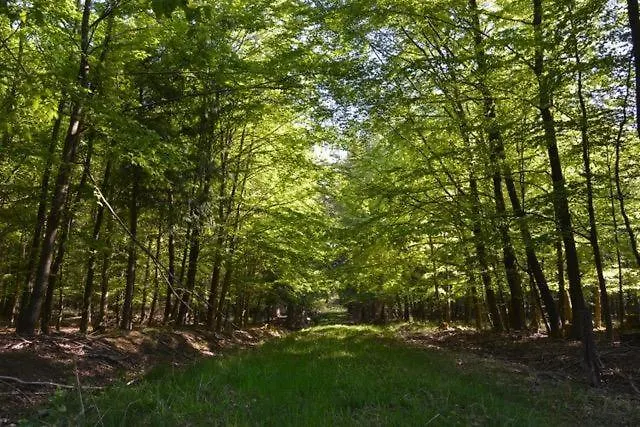 La Maison Im Park Von Schloss Schmidtheim