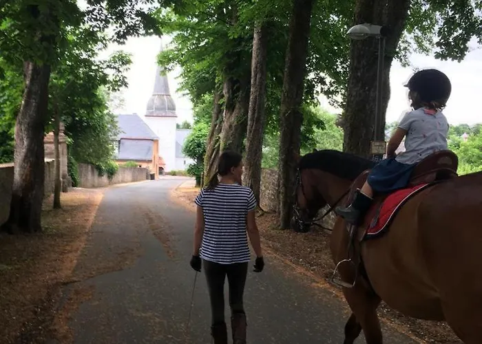 La Maison Im Park Von Schloss Сasa de vacaciones Schmidtheim