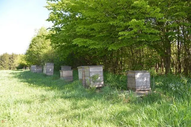 La Maison Im Park Von Schloss