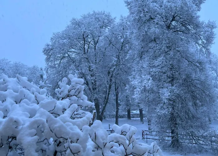 Сasa de vacaciones La Maison Im Park Von Schloss Schmidtheim