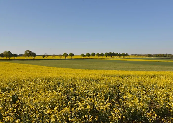 Сasa de vacaciones La Maison Im Park Von Schloss
