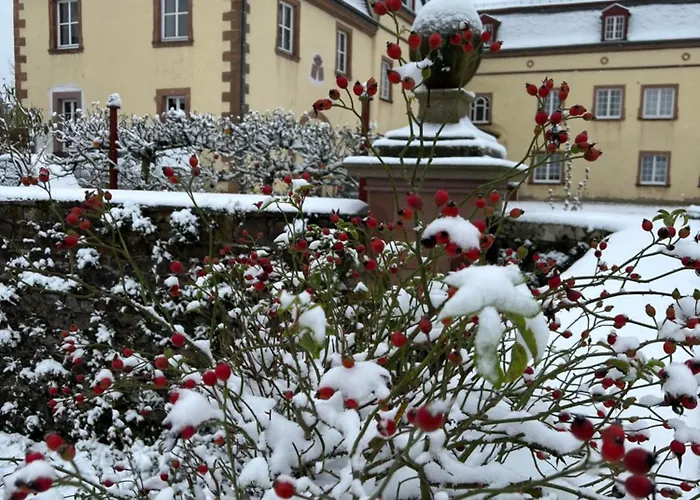 La Maison Im Park Von Schloss * Schmidtheim