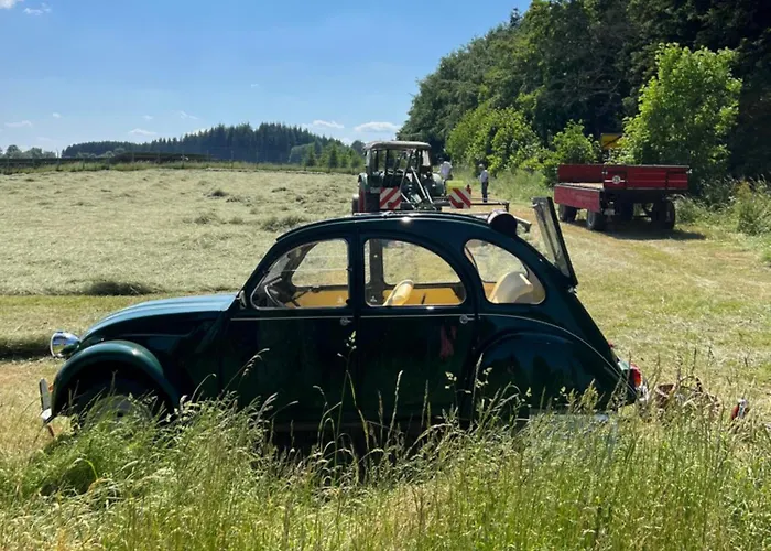 Сasa de vacaciones La Maison Im Park Von Schloss *