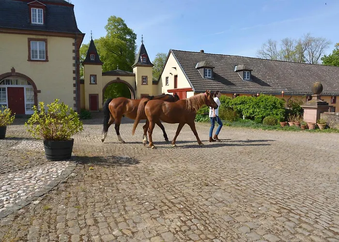 Сasa de vacaciones La Maison Im Park Von Schloss Schmidtheim