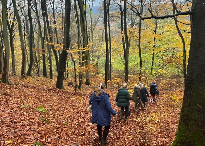 La Maison Im Park Von Schloss *