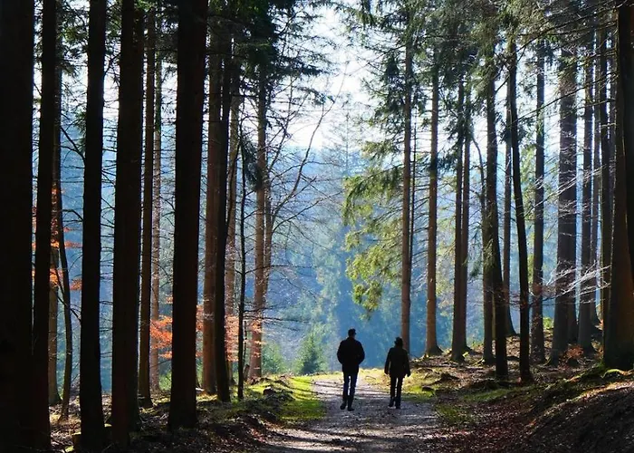 La Maison Im Park Von Schloss Schmidtheim