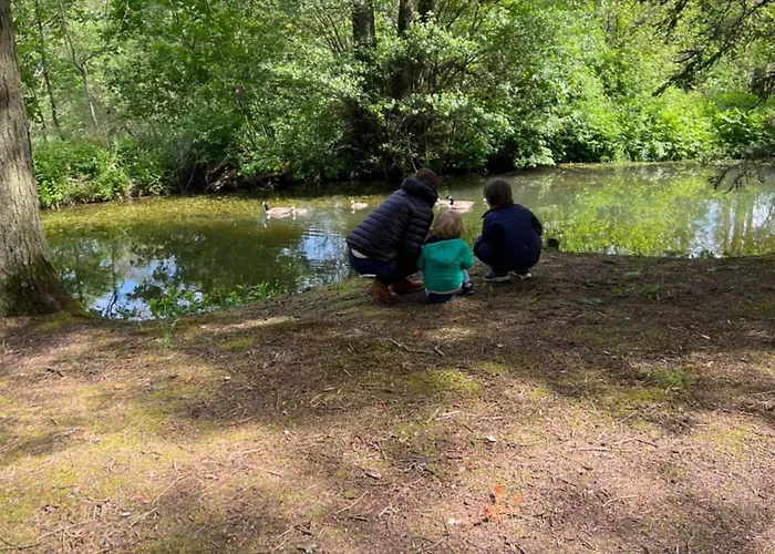 La Maison Im Park Von Schloss Сasa de vacaciones Schmidtheim